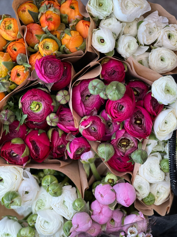 Grønn café blomster