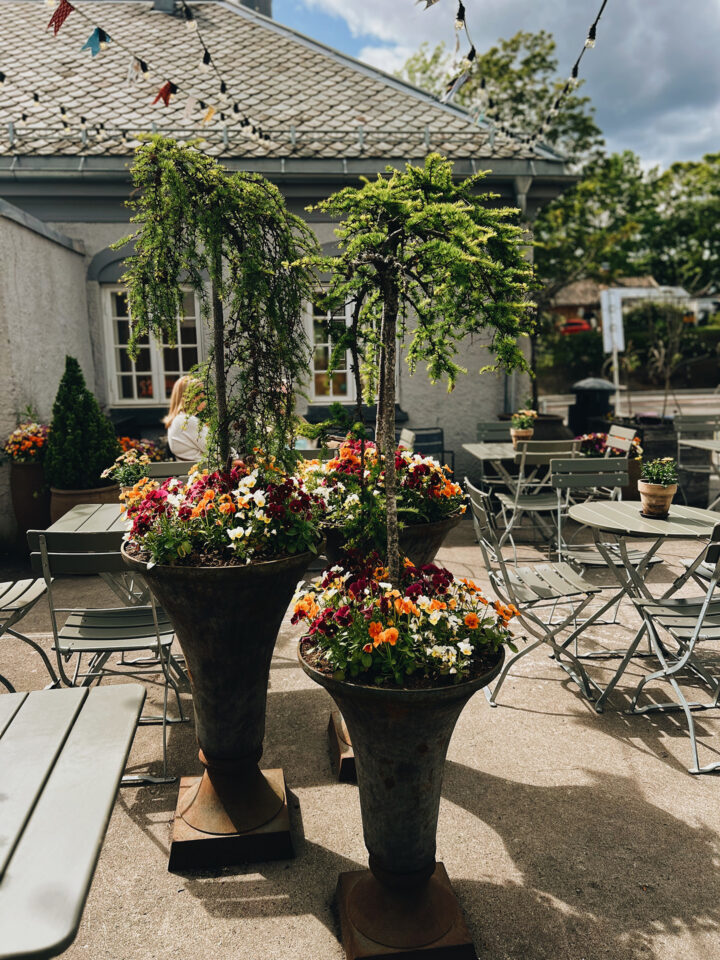 Grønn cafe