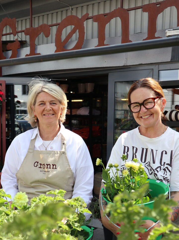 Grønn cafe butikk